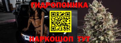 ешки Гусь-Хрустальный